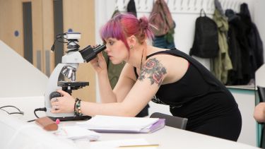 A mature student using a microscope